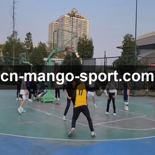 芒果体育电脑版使用指南：全方位解析功能亮点与操作体验