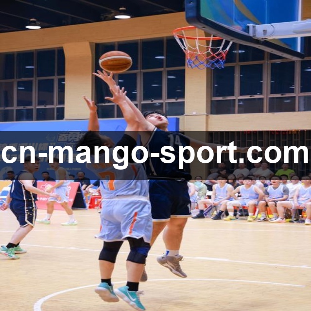 芒果体育官方推荐入口及注册流程解析：新用户必备实用指南